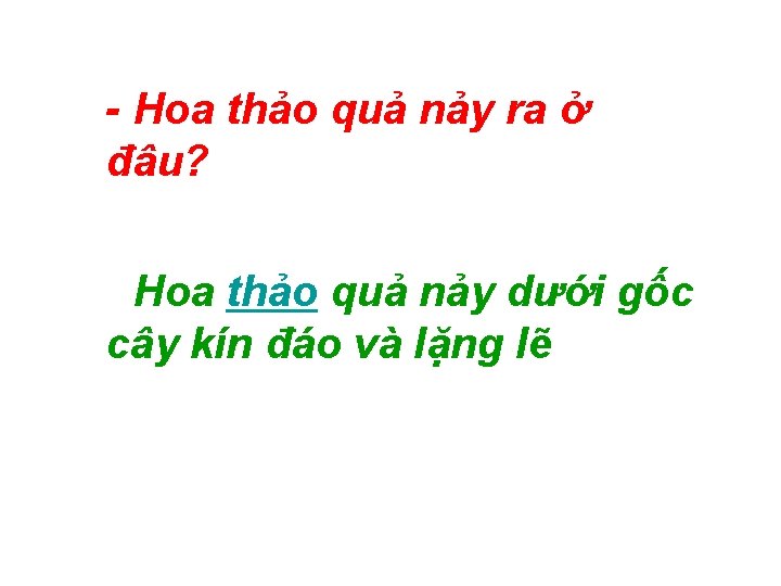 - Hoa thảo quả nảy ra ở đâu? - Hoa thảo quả nảy dưới