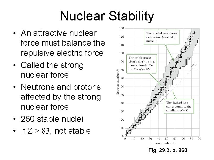 Nuclear Stability • An attractive nuclear force must balance the repulsive electric force •