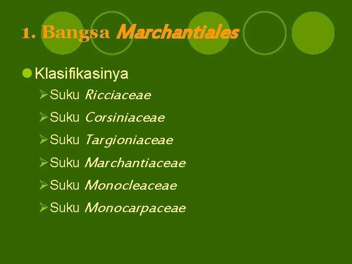 1. Bangsa Marchantiales l Klasifikasinya ØSuku Ricciaceae ØSuku Corsiniaceae ØSuku Targioniaceae ØSuku Marchantiaceae ØSuku