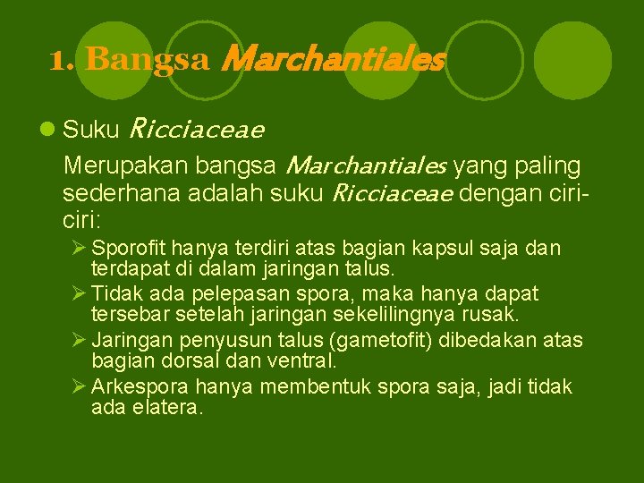 1. Bangsa Marchantiales l Suku Ricciaceae Merupakan bangsa Marchantiales yang paling sederhana adalah suku
