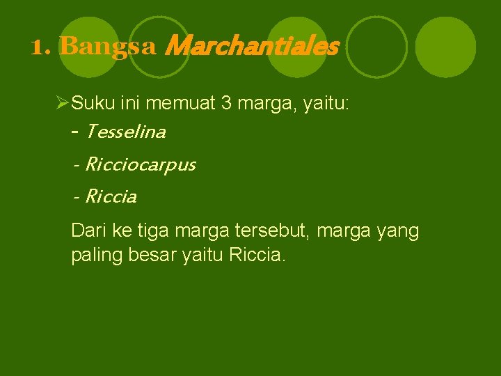 1. Bangsa Marchantiales ØSuku ini memuat 3 marga, yaitu: - Tesselina - Ricciocarpus -