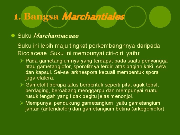 1. Bangsa Marchantiales l Suku Marchantiaceae Suku ini lebih maju tingkat perkembangnnya daripada Ricciaceae.