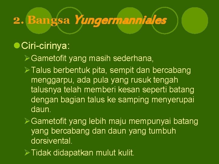 2. Bangsa Yungermanniales l Ciri-cirinya: ØGametofit yang masih sederhana, ØTalus berbentuk pita, sempit dan