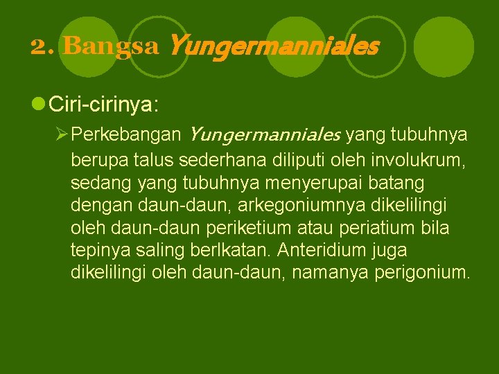 2. Bangsa Yungermanniales l Ciri-cirinya: ØPerkebangan Yungermanniales yang tubuhnya berupa talus sederhana diliputi oleh