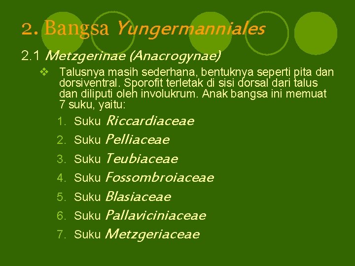 2. Bangsa Yungermanniales 2. 1 Metzgerinae (Anacrogynae) v Talusnya masih sederhana, bentuknya seperti pita
