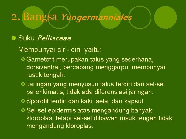 2. Bangsa Yungermanniales l Suku Pelliaceae Mempunyai ciri- ciri, yaitu: v. Gametofit merupakan talus