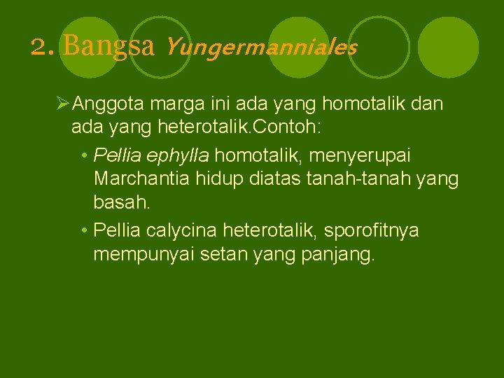 2. Bangsa Yungermanniales ØAnggota marga ini ada yang homotalik dan ada yang heterotalik. Contoh:
