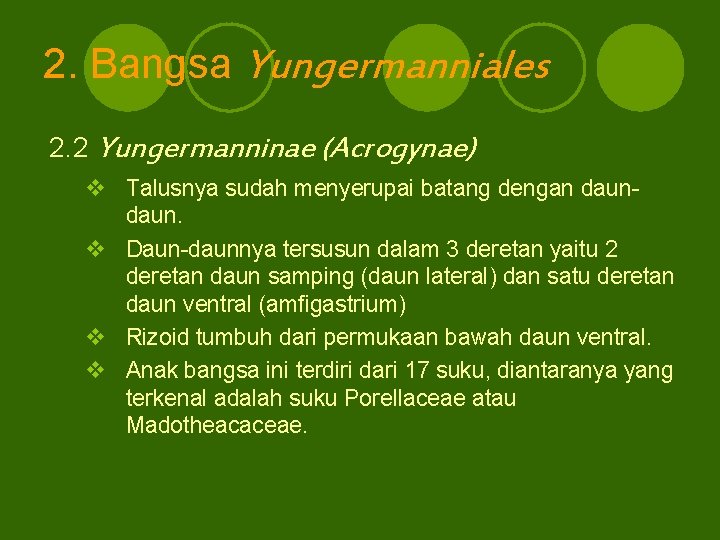 2. Bangsa Yungermanniales 2. 2 Yungermanninae (Acrogynae) v Talusnya sudah menyerupai batang dengan daun.