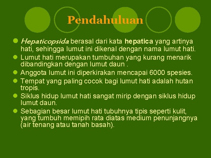 Pendahuluan l Hepaticopsida berasal dari kata hepatica yang artinya l l l hati, sehingga