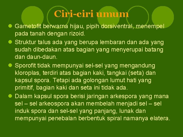 Ciri-ciri umum l Gametofit berwarna hijau, pipih dorsiventral, menempel pada tanah dengan rizoid. l