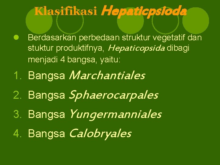 Klasifikasi Hepaticpsioda l Berdasarkan perbedaan struktur vegetatif dan stuktur produktifnya, Hepaticopsida dibagi menjadi 4
