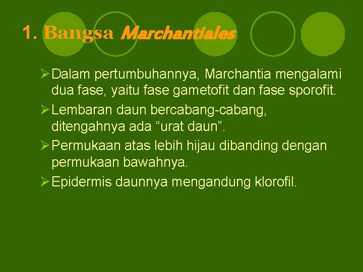 1. Bangsa Marchantiales ØDalam pertumbuhannya, Marchantia mengalami dua fase, yaitu fase gametofit dan fase
