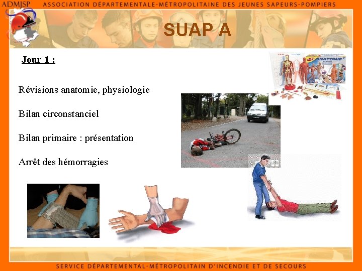 SUAP A Jour 1 : Révisions anatomie, physiologie Bilan circonstanciel Bilan primaire : présentation