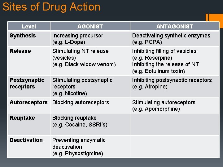 Sites of Drug Action Level AGONIST Synthesis Increasing precursor (e. g. L-Dopa) Deactivating synthetic