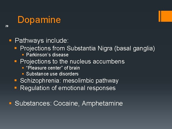 20 Dopamine § Pathways include: § Projections from Substantia Nigra (basal ganglia) § Parkinson’s