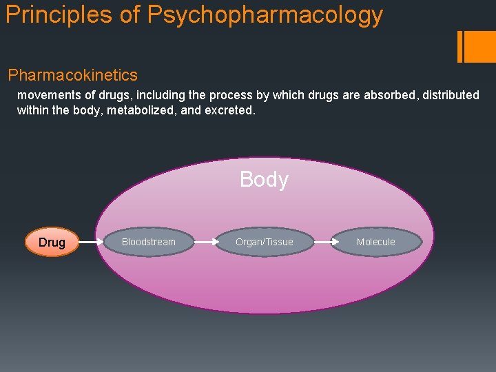 Principles of Psychopharmacology Pharmacokinetics movements of drugs, including the process by which drugs are