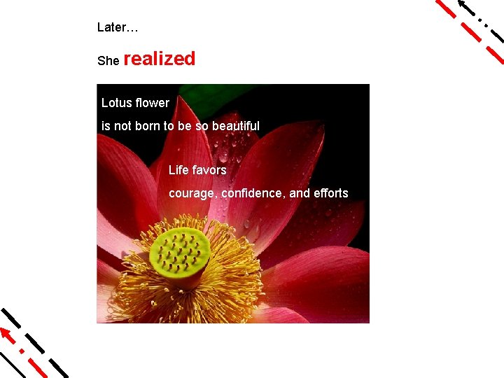 Later… She realized Lotus flower is not born to be so beautiful Life favors