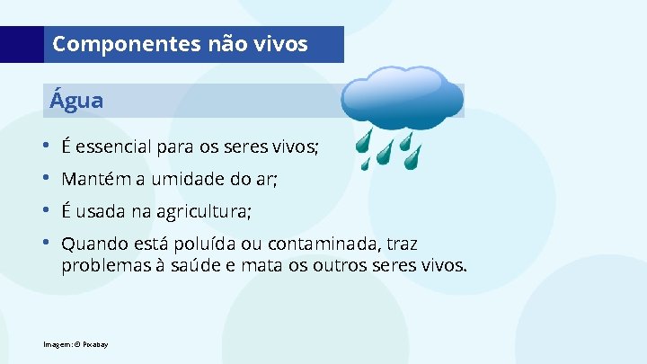 Componentes não vivos Água • • É essencial para os seres vivos; Mantém a