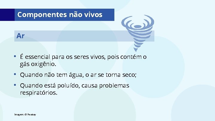Componentes não vivos Ar • É essencial para os seres vivos, pois contém o