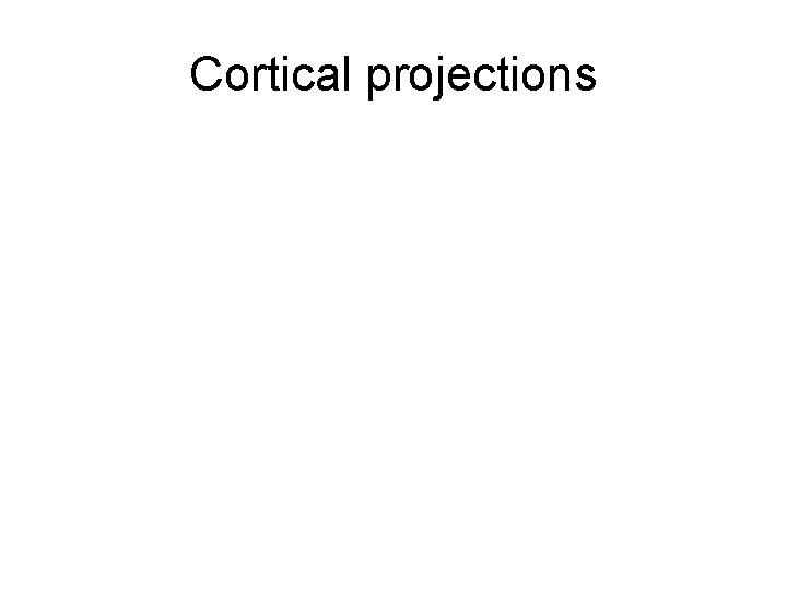 Cortical projections 