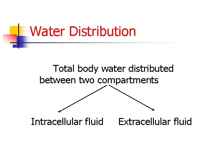 Water Distribution Total body water distributed between two compartments Intracellular fluid Extracellular fluid 