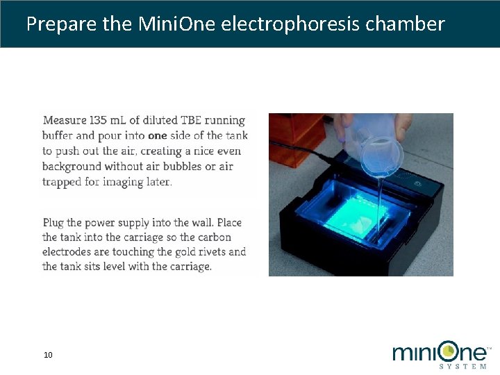 Prepare the Mini. One electrophoresis chamber 10 