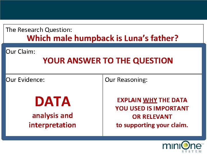 The Research Question: Which male humpback is Luna’s father? Our Claim: YOUR ANSWER TO