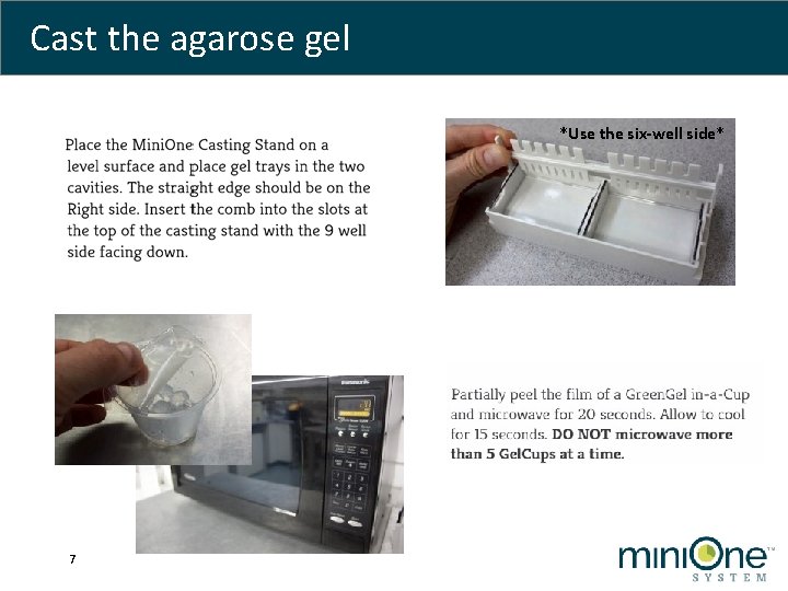 Cast the agarose gel *Use the six-well side* 7 