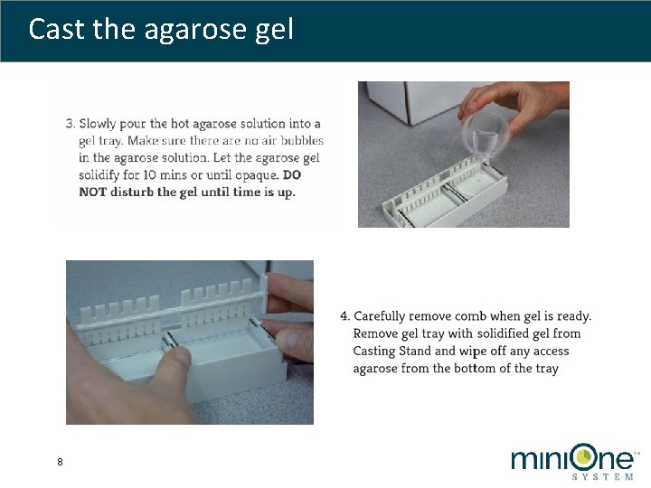 Cast the agarose gel 8 