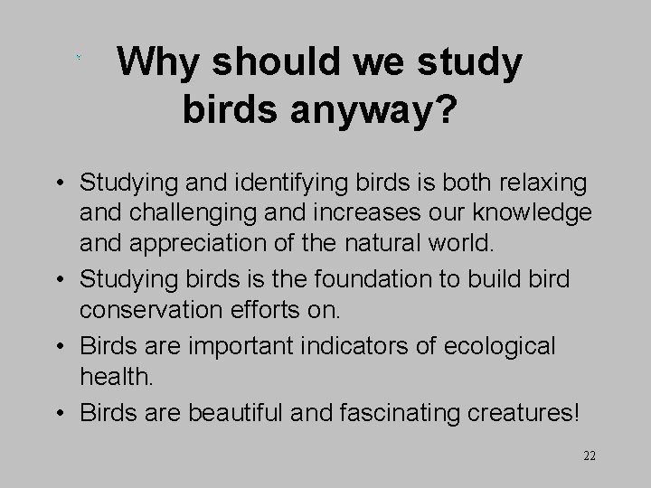 Why should we study birds anyway? • Studying and identifying birds is both relaxing