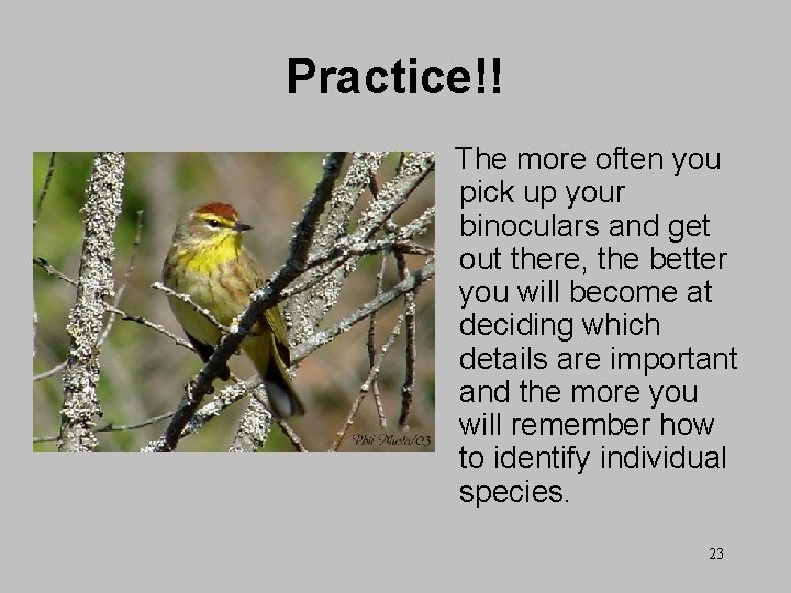 Practice!! The more often you pick up your binoculars and get out there, the