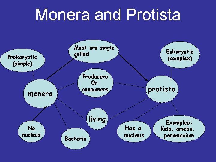 Monera and Protista Prokaryotic (simple) monera Most are single celled Producers Or consumers living