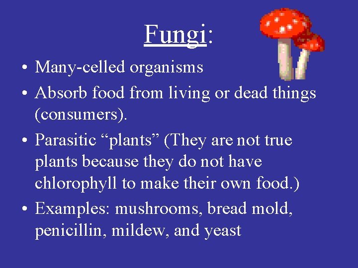 Fungi: • Many-celled organisms • Absorb food from living or dead things (consumers). •