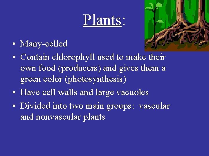 Plants: • Many-celled • Contain chlorophyll used to make their own food (producers) and