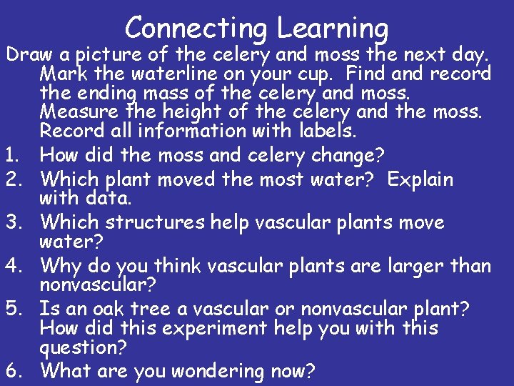 Connecting Learning Draw a picture of the celery and moss the next day. Mark