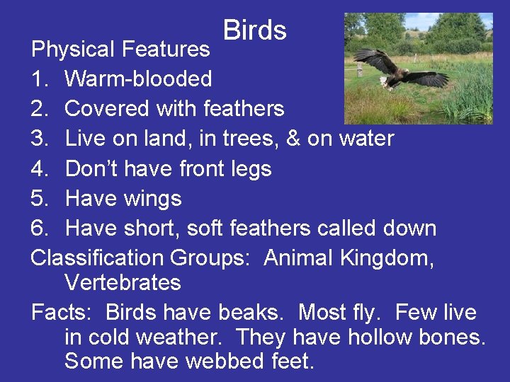 Birds Physical Features 1. Warm-blooded 2. Covered with feathers 3. Live on land, in