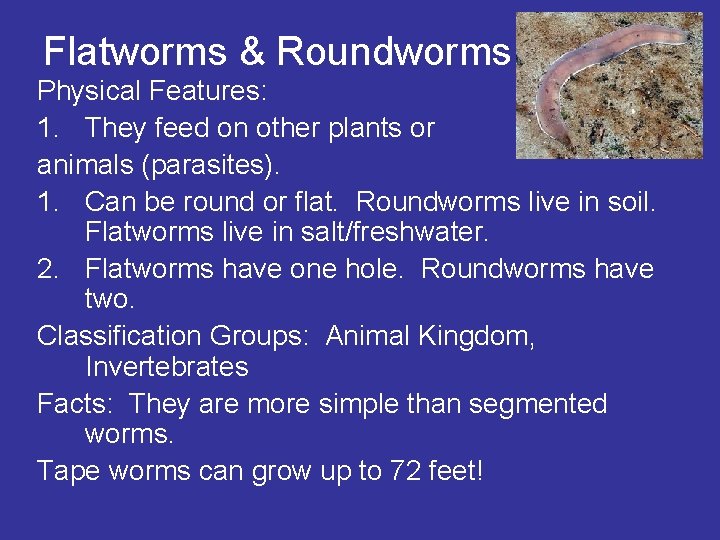 Flatworms & Roundworms Physical Features: 1. They feed on other plants or animals (parasites).