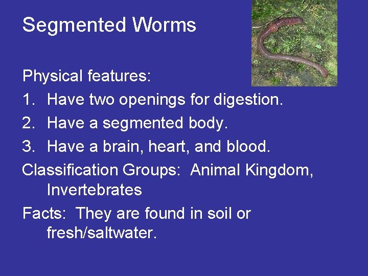 Segmented Worms Physical features: 1. Have two openings for digestion. 2. Have a segmented