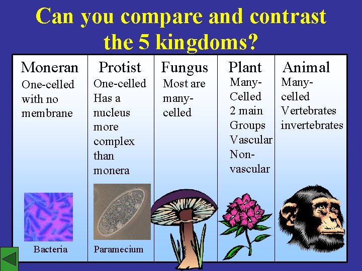 Can you compare and contrast the 5 kingdoms? Moneran Protist Fungus One-celled with no