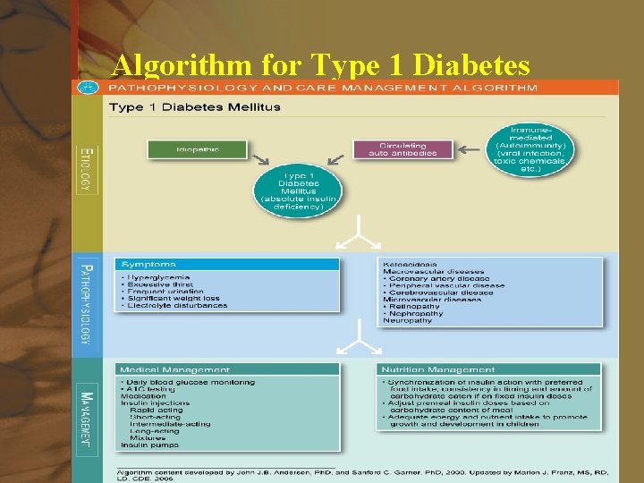 Algorithm for Type 1 Diabetes Elsevier items and derived items © 2008, 2004 by