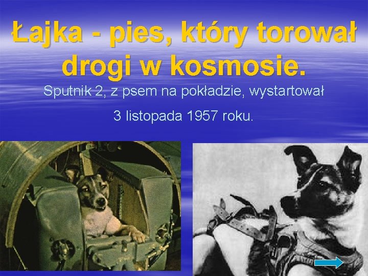 Łajka - pies, który torował drogi w kosmosie. Sputnik 2, z psem na pokładzie,