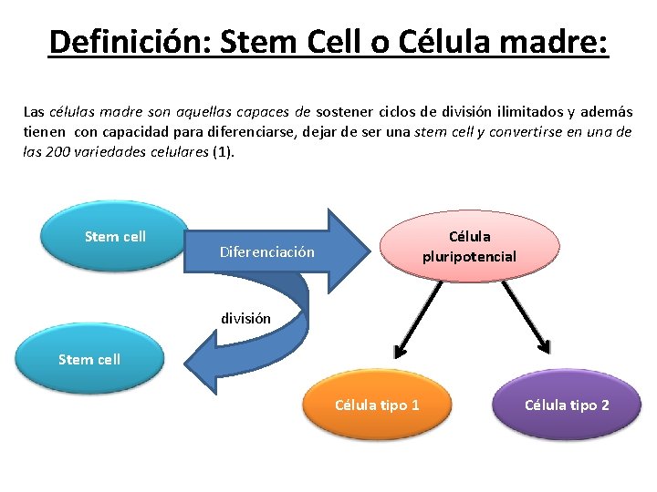 Definición: Stem Cell o Célula madre: Las células madre son aquellas capaces de sostener