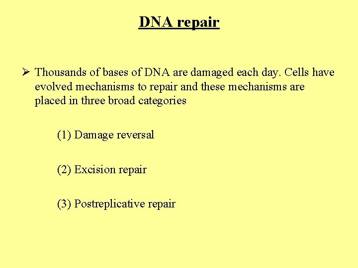 DNA repair Ø Thousands of bases of DNA are damaged each day. Cells have