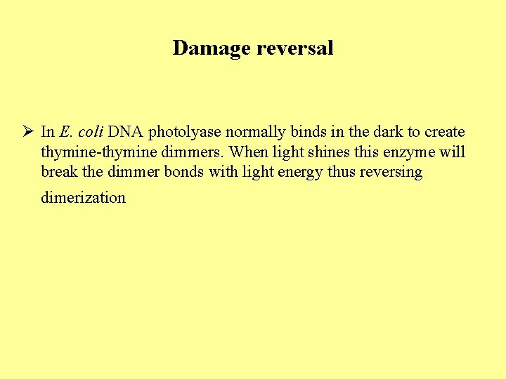 Damage reversal Ø In E. coli DNA photolyase normally binds in the dark to