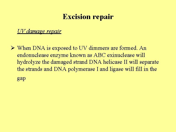 Excision repair UV damage repair Ø When DNA is exposed to UV dimmers are