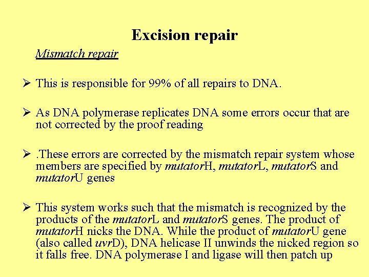 Excision repair Mismatch repair Ø This is responsible for 99% of all repairs to