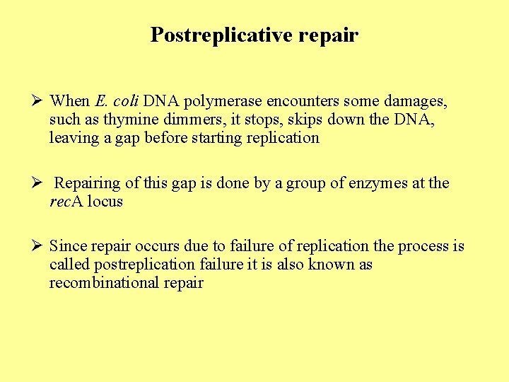 Postreplicative repair Ø When E. coli DNA polymerase encounters some damages, such as thymine