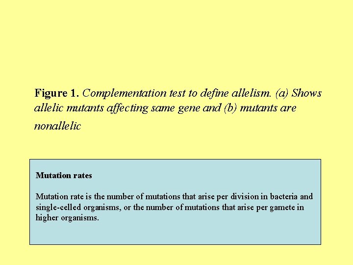 Figure 1. Complementation test to define allelism. (a) Shows allelic mutants affecting same gene