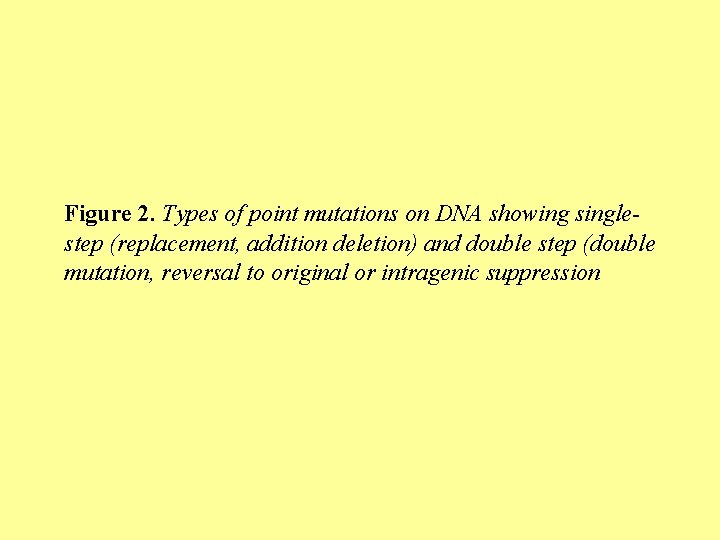 Figure 2. Types of point mutations on DNA showing singlestep (replacement, addition deletion) and