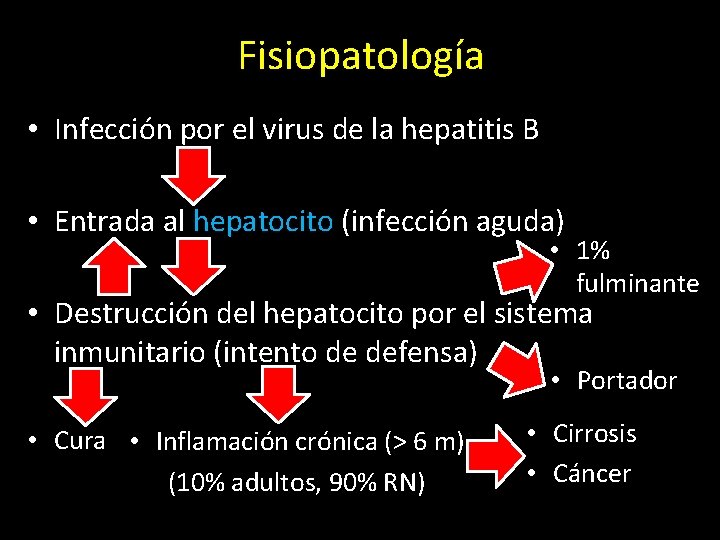 Fisiopatología • Infección por el virus de la hepatitis B • Entrada al hepatocito